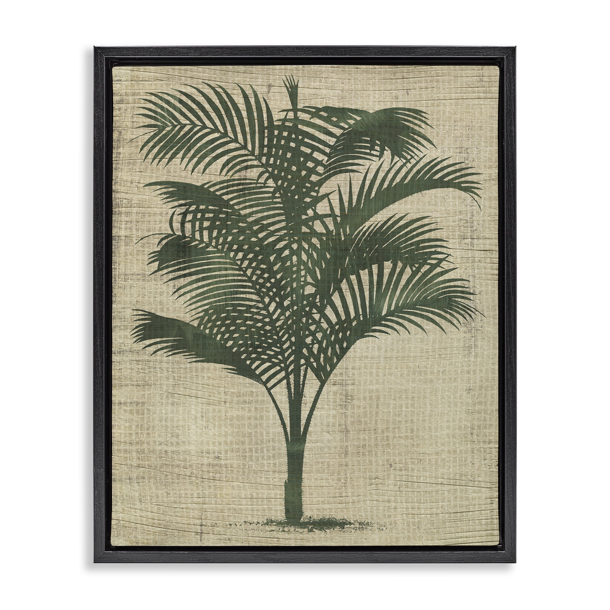 Stupell Industries Vintage Palm Plant Plants & Flowers Painting Black Floater Framed Canvas Art Print Wall Art, 17 x 21
