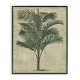 thumbnail image 1 of Stupell Industries Vintage Palm Plant Plants & Flowers Painting Black Framed Art Print Wall Art, 24 x 30, 1 of 2