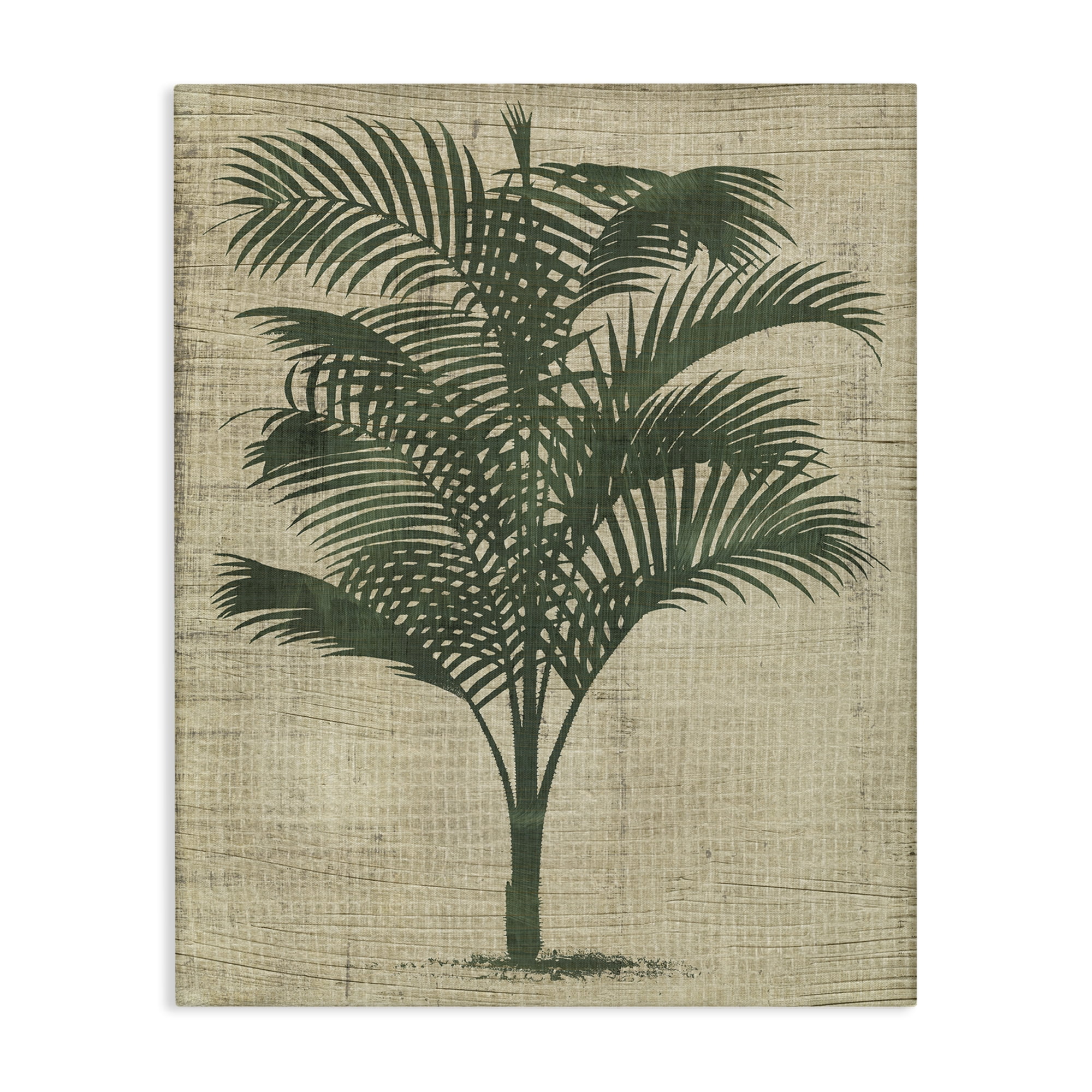 Stupell Industries Vintage Palm Plant Plants & Flowers Painting Wrapped Canvas Art Print Wall Art, 24 x 30