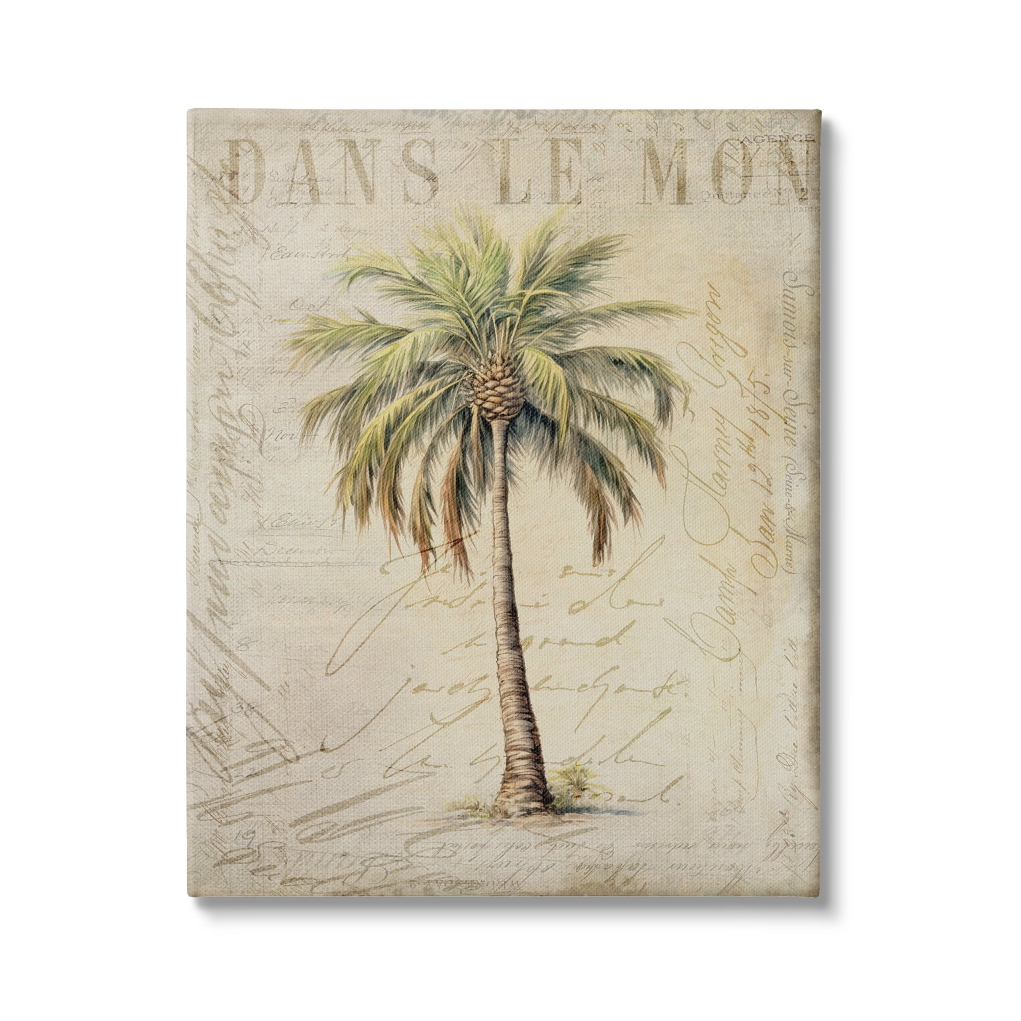 Stupell Industries Vintage Palm Tree Botanical & Floral Painting Gallery Wrapped Canvas Art Print Wall Art, 24 x 30