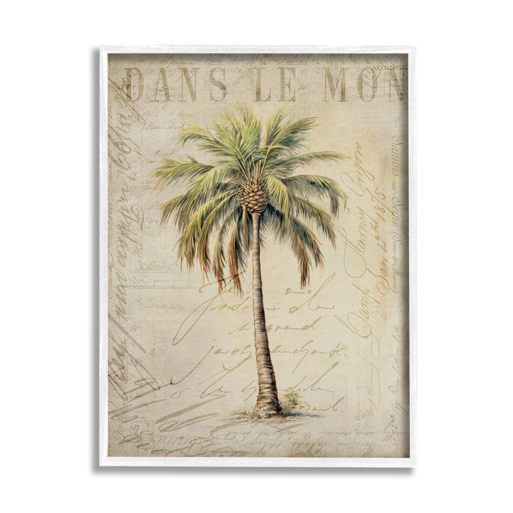 Vintage Palm Tree Botanical Print on Canvas with White Frame