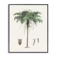 thumbnail image 1 of Stupell Industries Vintage Palm Tree Study Black Framed Giclee Art design by CAD, 30 x 24, 1 of 8