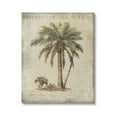thumbnail image 1 of Stupell Industries Vintage Palm Tree Study Botanical & Floral Painting Gallery Wrapped Canvas Art Print Wall Art, 16 x 20, 1 of 8
