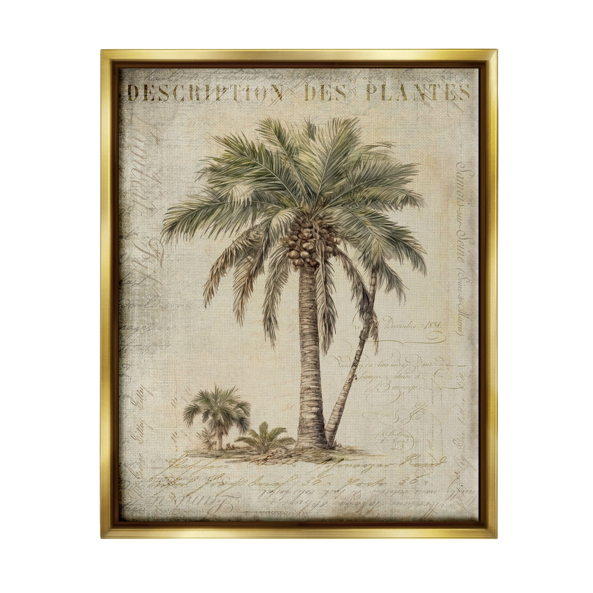 Vintage Palm Tree Botanical Canvas Print with Gold Frame, 17 x 21