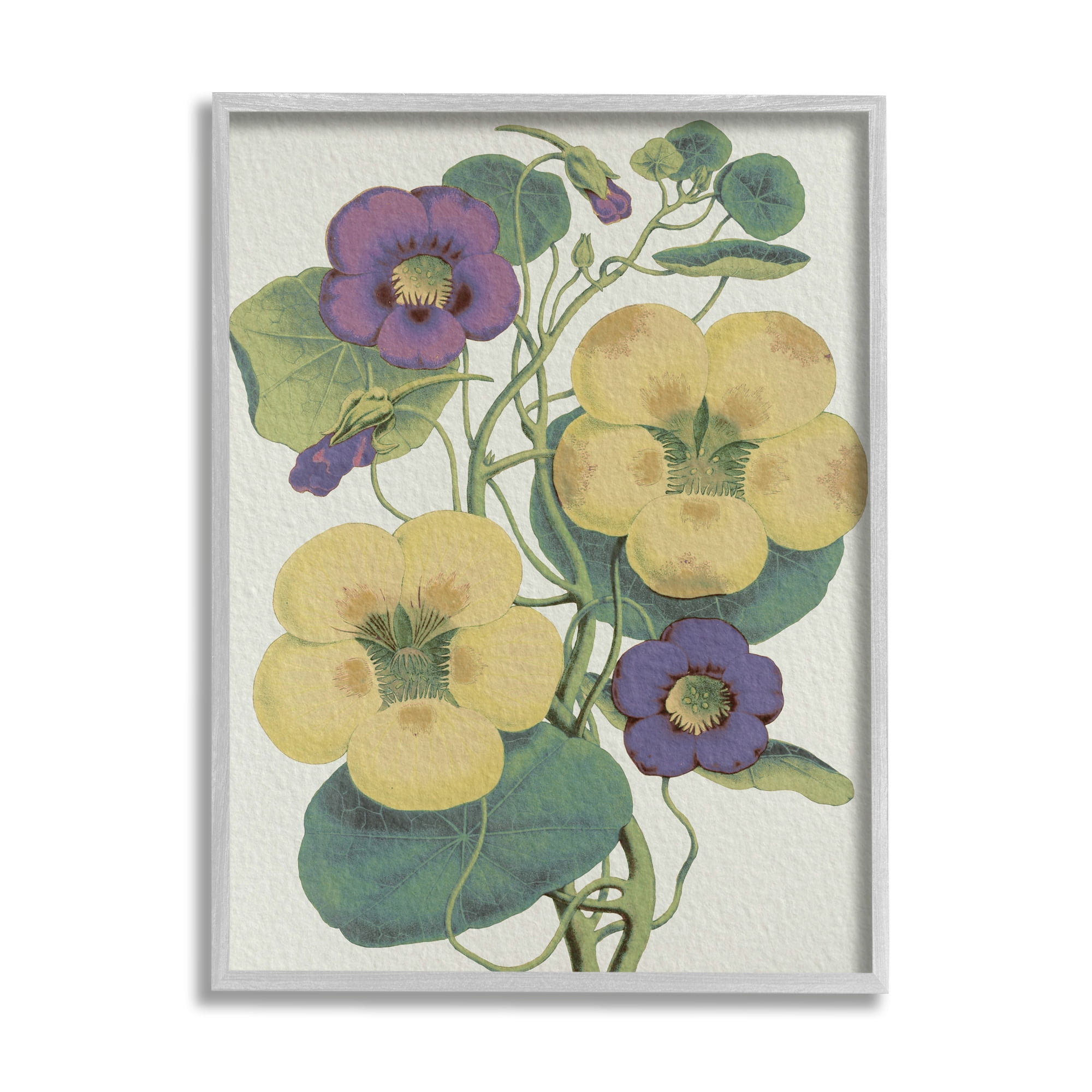Stupell Industries Vintage Pansies Purple Yellow Petals Garden Study Botanical & Floral Painting Gray Framed Art Print Wall Art, 11 x 14