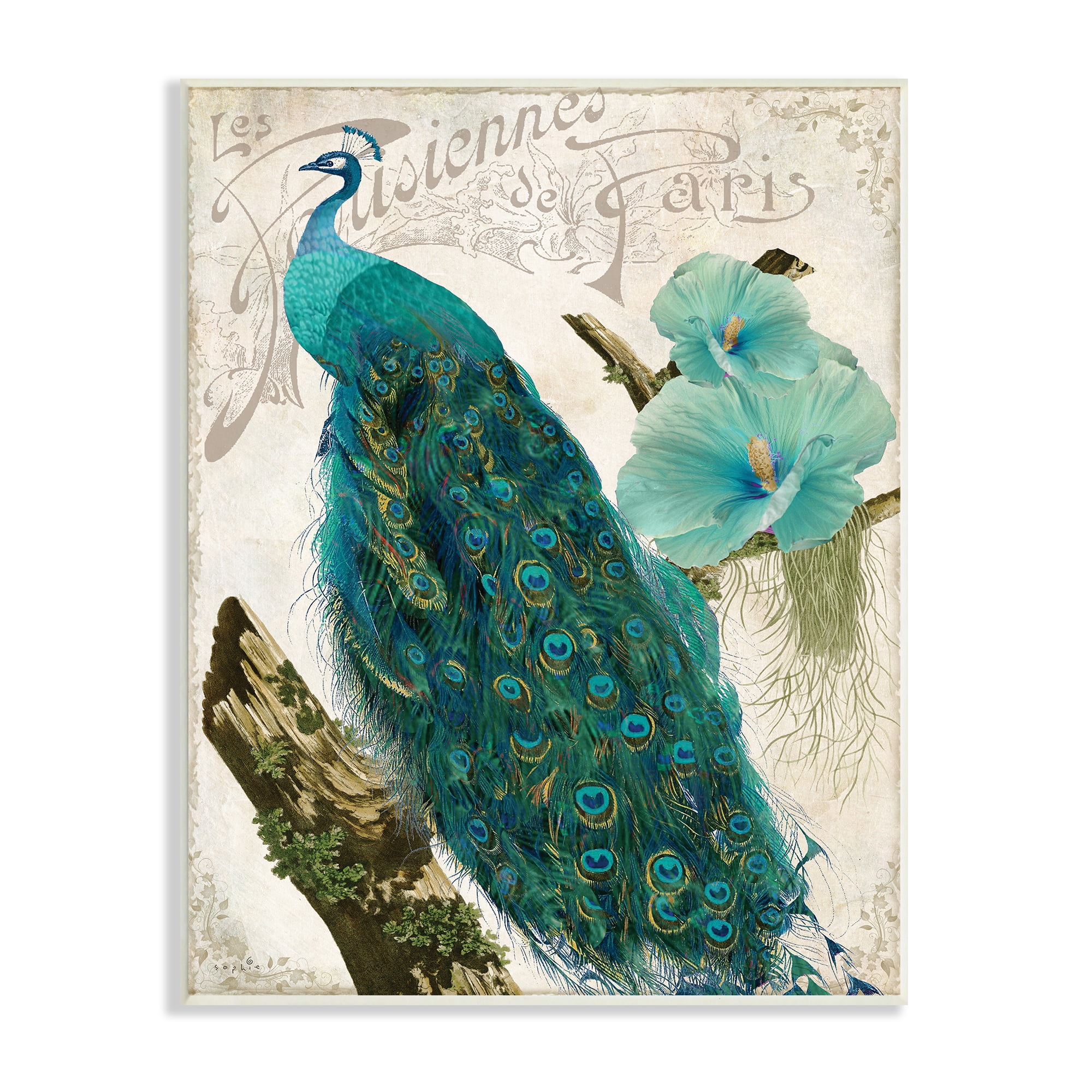 Stupell Industries Vintage Parisian Peacock Patterned Bird Blue Hibiscus Flower, 13 x 19, Design by Sophie 6