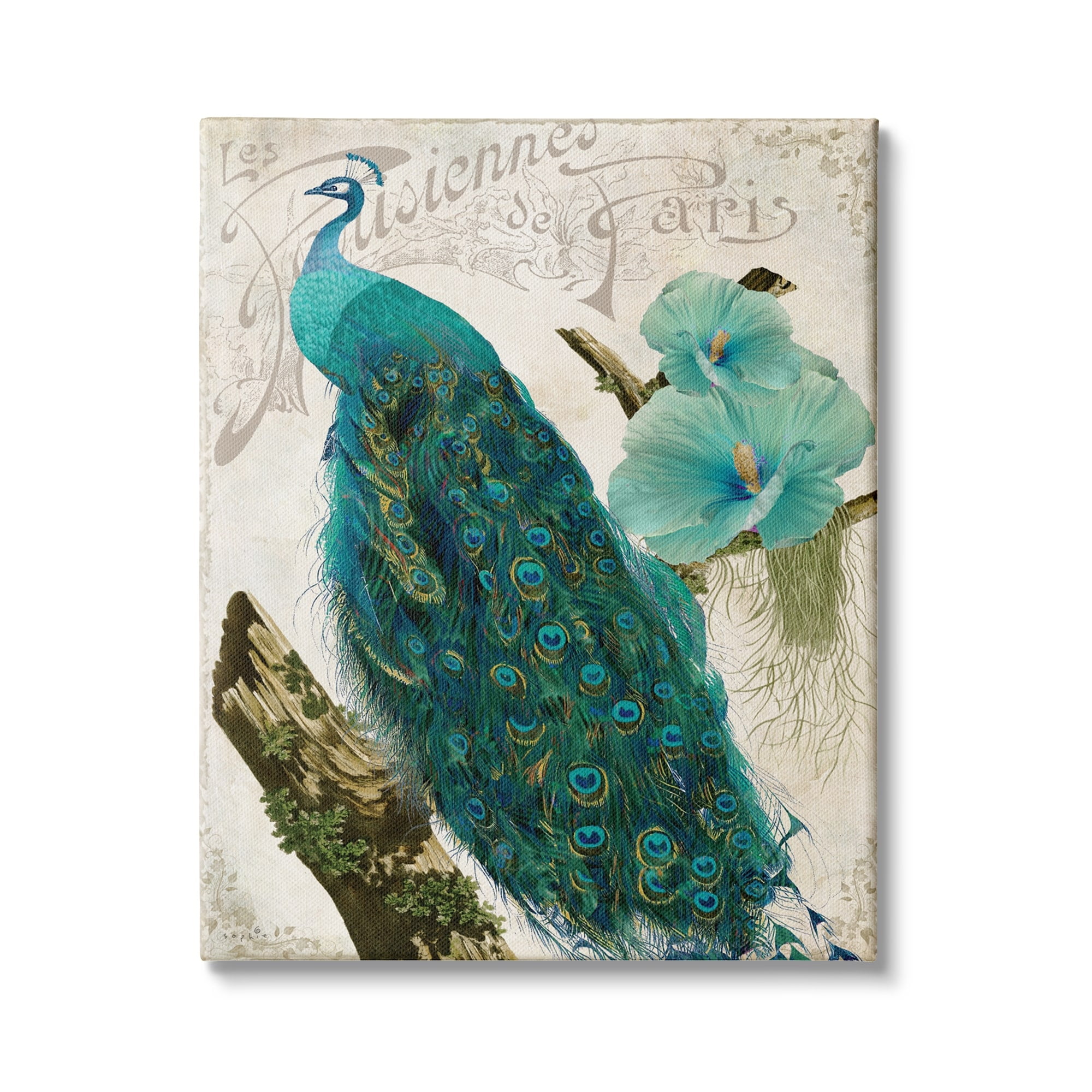 Vintage Parisian Peacock Bird with Blue Hibiscus Canvas Art
