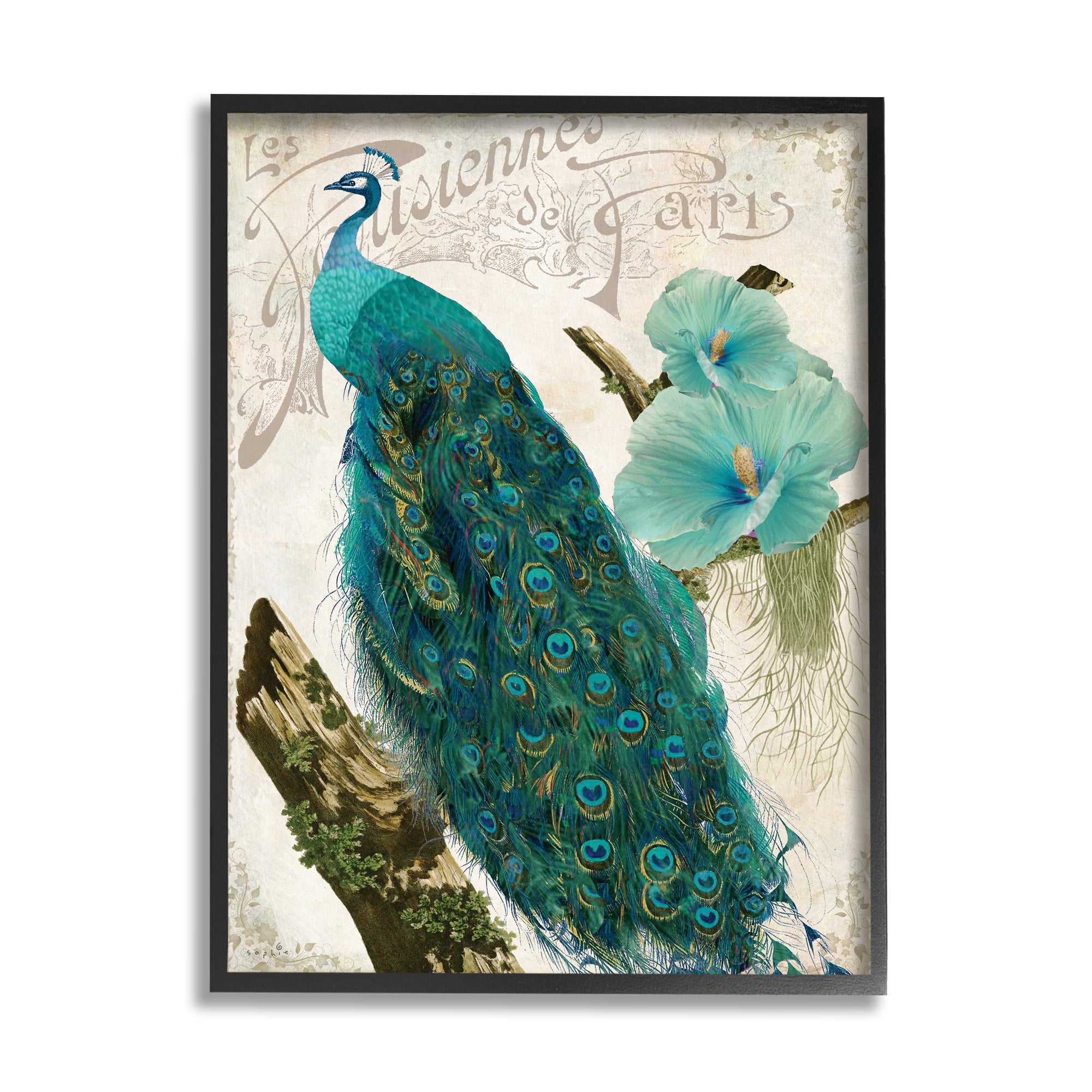 Stupell Industries Vintage Parisian Peacock Patterned Bird Blue Hibiscus Flower, 16 x 20, Design by Sophie 6