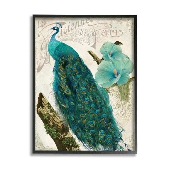 Stupell Industries Vintage Parisian Peacock Patterned Bird Blue Hibiscus Flower, 24 x 30, Design by Sophie 6