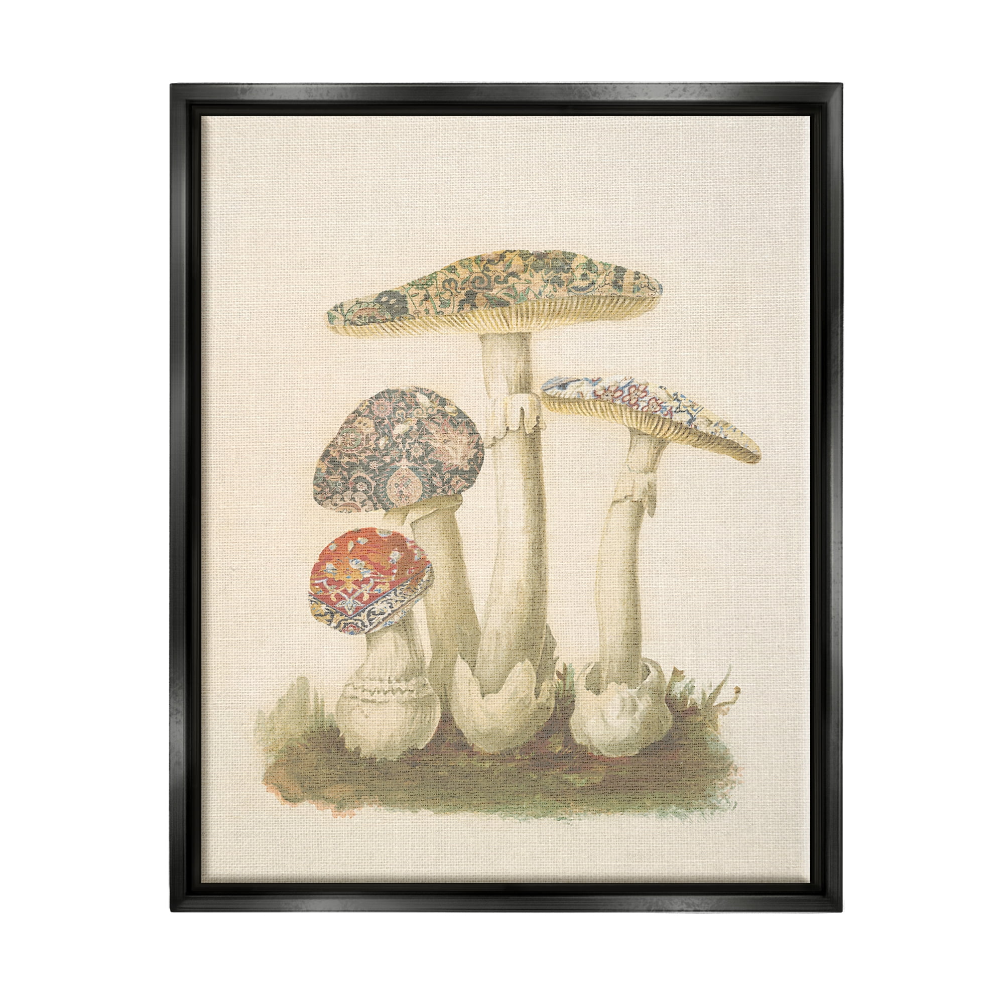 Stupell Industries Vintage Patterned Mushrooms Botanical & Floral Painting Black Floater Framed Canvas Art Print Wall Art, 17 x 21