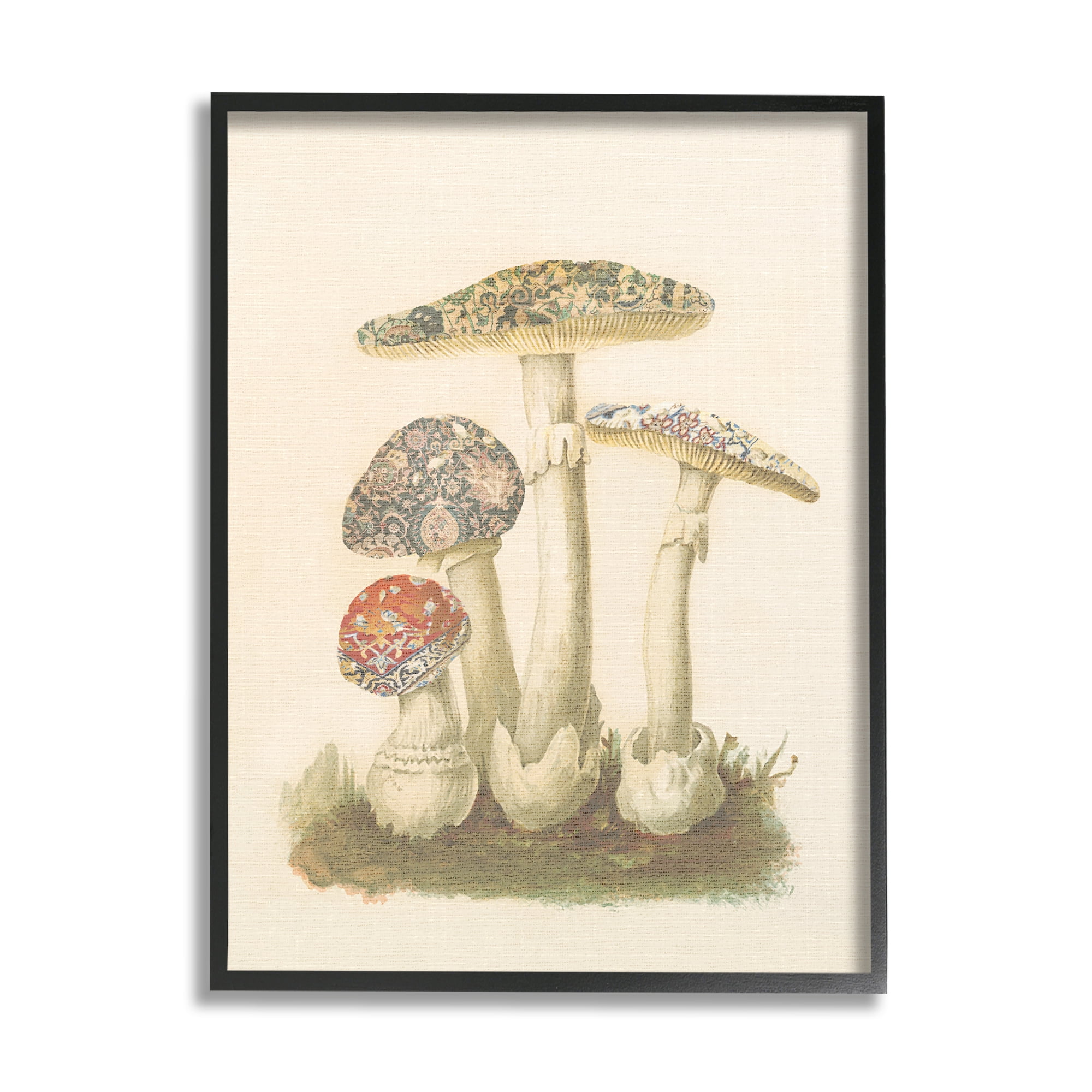 Stupell Industries Vintage Patterned Mushrooms Botanical & Floral Painting Black Framed Art Print Wall Art, 16 x 20