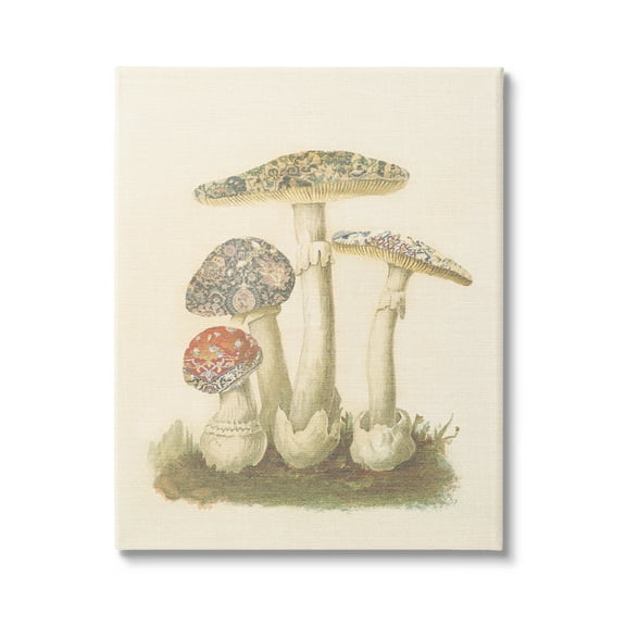 Stupell Industries Vintage Patterned Mushrooms Botanical & Floral Painting Gallery Wrapped Canvas Art Print Wall Art, 16 x 20