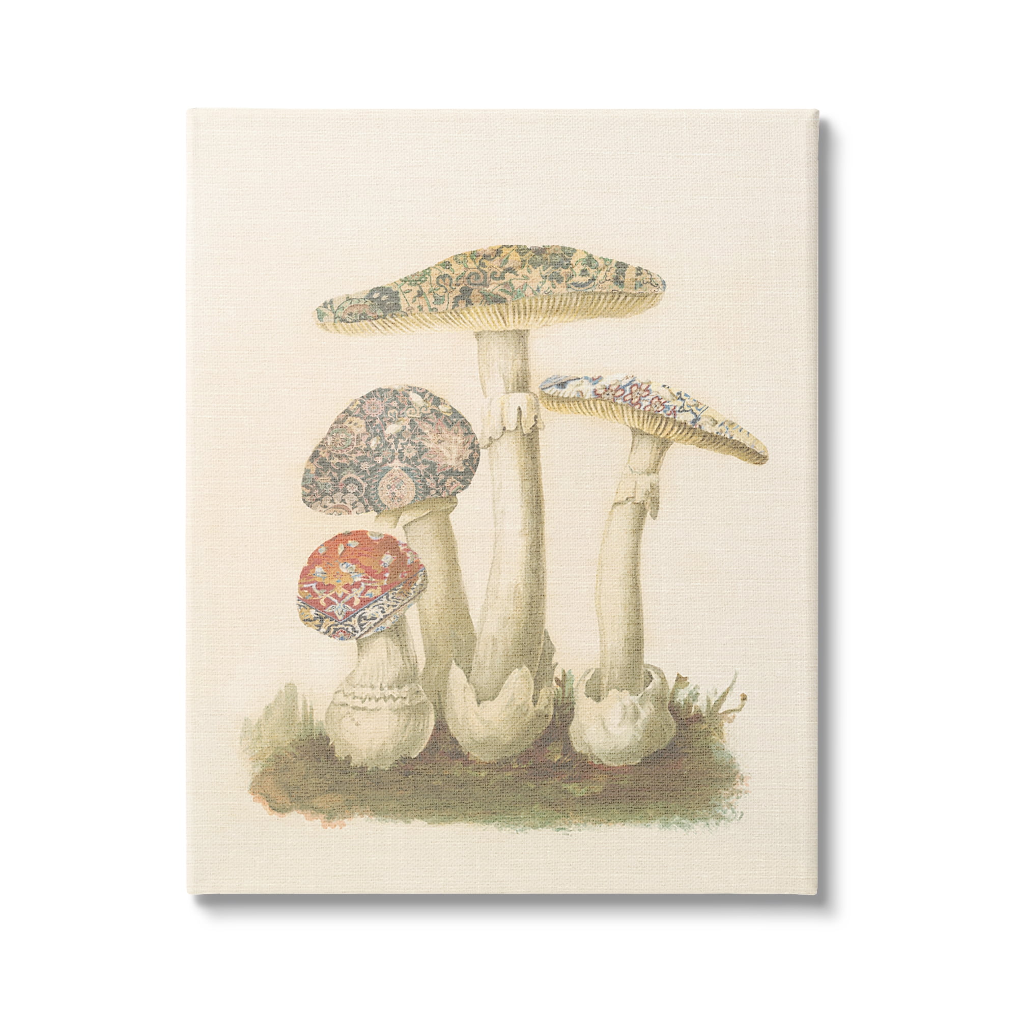 Stupell Industries Vintage Patterned Mushrooms Botanical & Floral Painting Gallery Wrapped Canvas Art Print Wall Art, 36 x 48