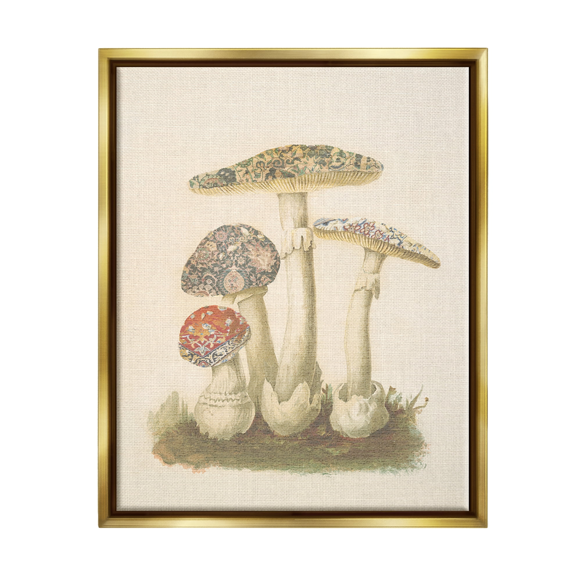 Stupell Industries Vintage Patterned Mushrooms Botanical & Floral Painting Gold Floater Framed Canvas Art Print Wall Art, 25 x 31