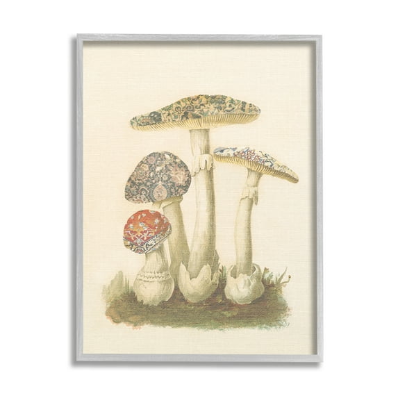 Stupell Industries Vintage Patterned Mushrooms Botanical & Floral Painting Gray Framed Art Print Wall Art, 24 x 30