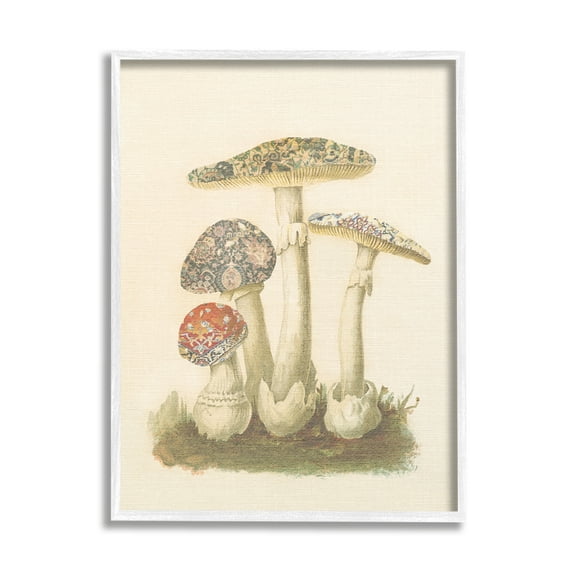 Stupell Industries Vintage Patterned Mushrooms Botanical & Floral Painting White Framed Art Print Wall Art, 11 x 14