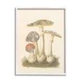 thumbnail image 1 of Stupell Industries Vintage Patterned Mushrooms Botanical & Floral Painting White Framed Art Print Wall Art, 24 x 30, 1 of 9