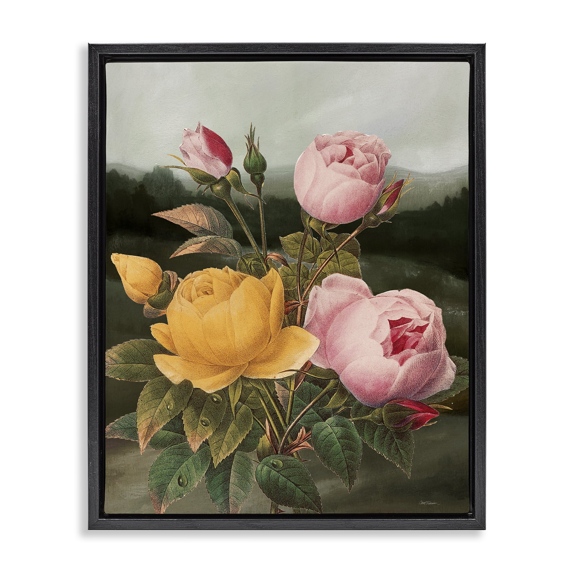 Stupell Industries Vintage Peony Blooms Botanical & Floral Painting Black Floater Framed Art Print Wall Art, 25 x 31