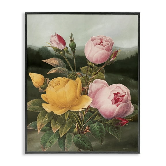 Stupell Industries Vintage Peony Blooms Botanical & Floral Painting Black Framed Art Print Wall Art, 11 x 14