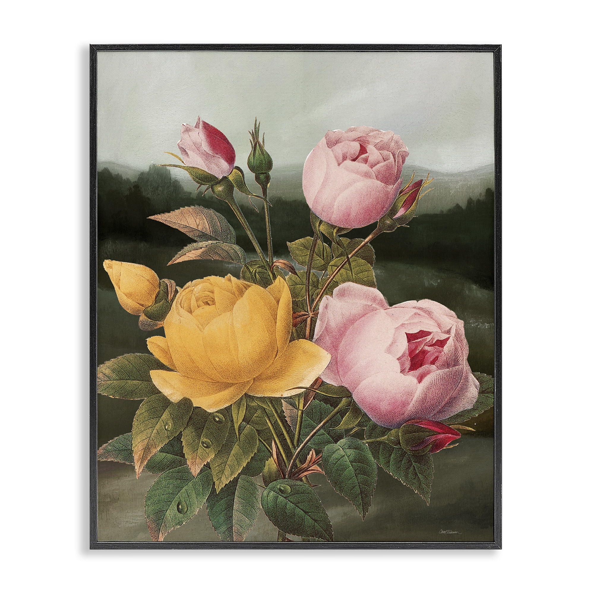 Stupell Industries Vintage Peony Blooms Botanical & Floral Painting Black Framed Art Print Wall Art, 24 x 30