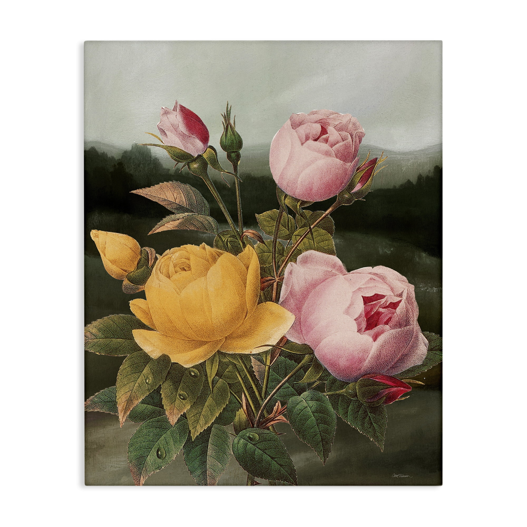 Stupell Industries Vintage Peony Blooms Botanical & Floral Painting Gallery Wrapped Canvas Art Print Wall Art, 24 x 30