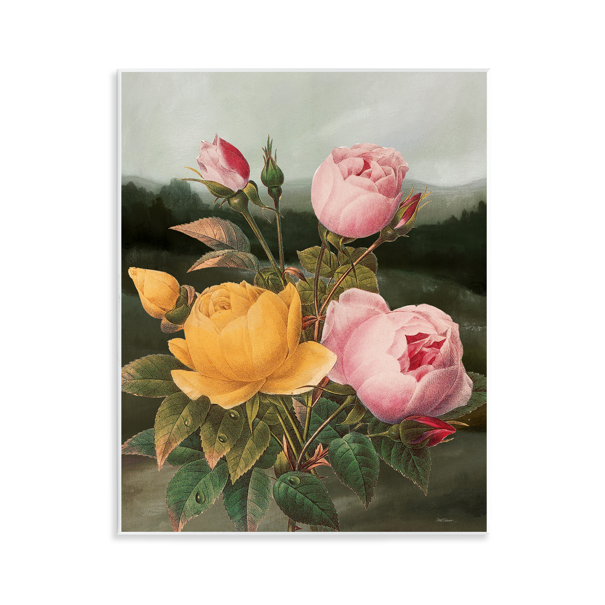 Stupell Industries Vintage Peony Blooms Botanical & Floral Painting Unframed Art Print Wall Art, 11 x 14