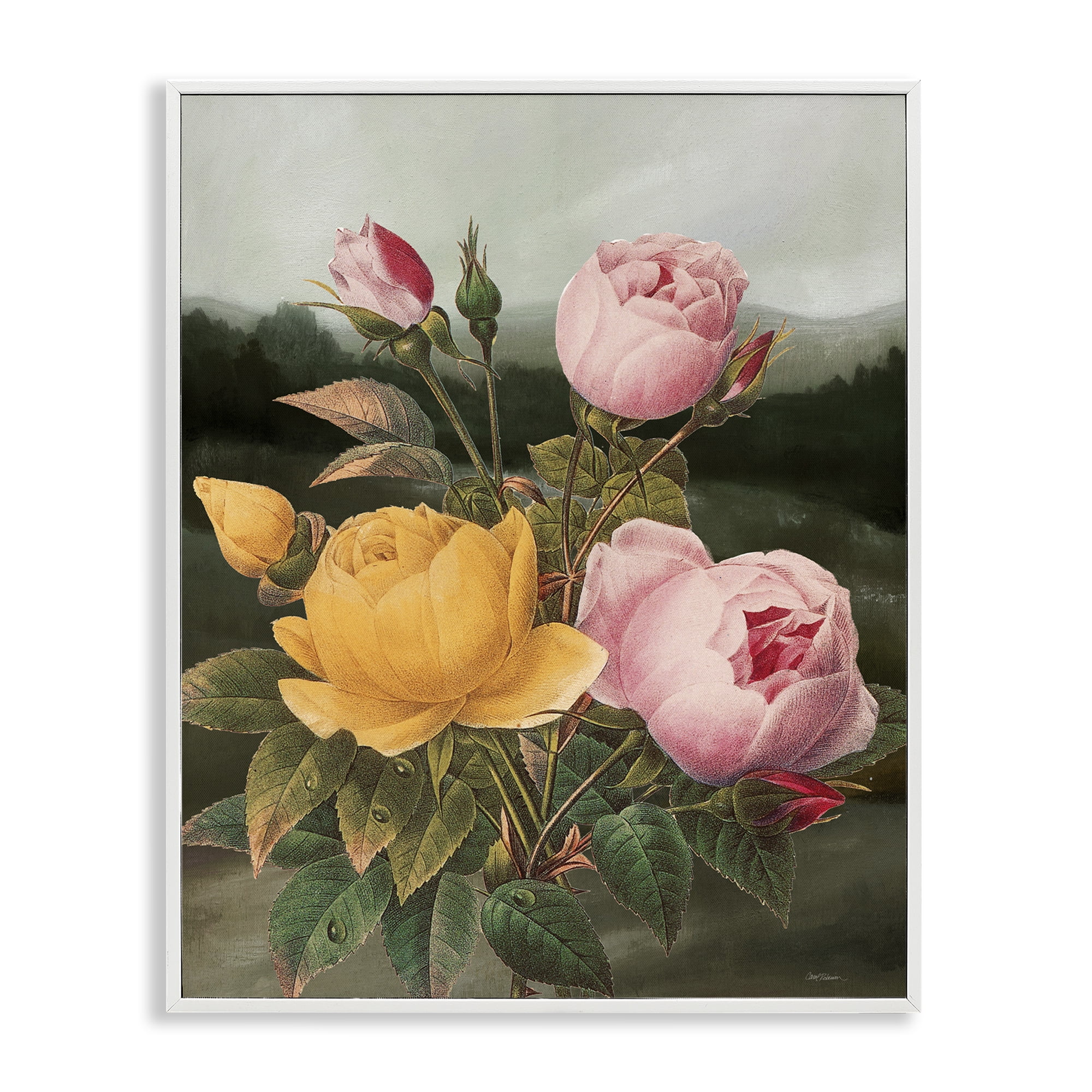 Stupell Industries Vintage Peony Blooms Botanical & Floral Painting White Framed Art Print Wall Art, 16 x 20
