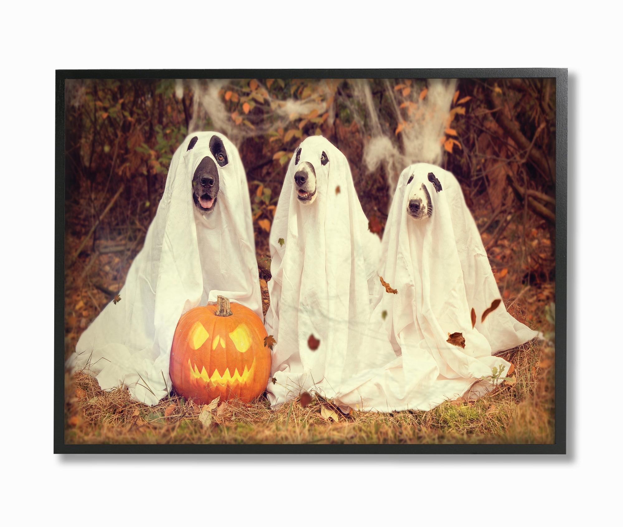 Stupell Industries Vintage Photography Halloween Pumpkin And Ghost Dogs Black Framed Art Print Wall Art, 24x30, by Daphne Polselli
