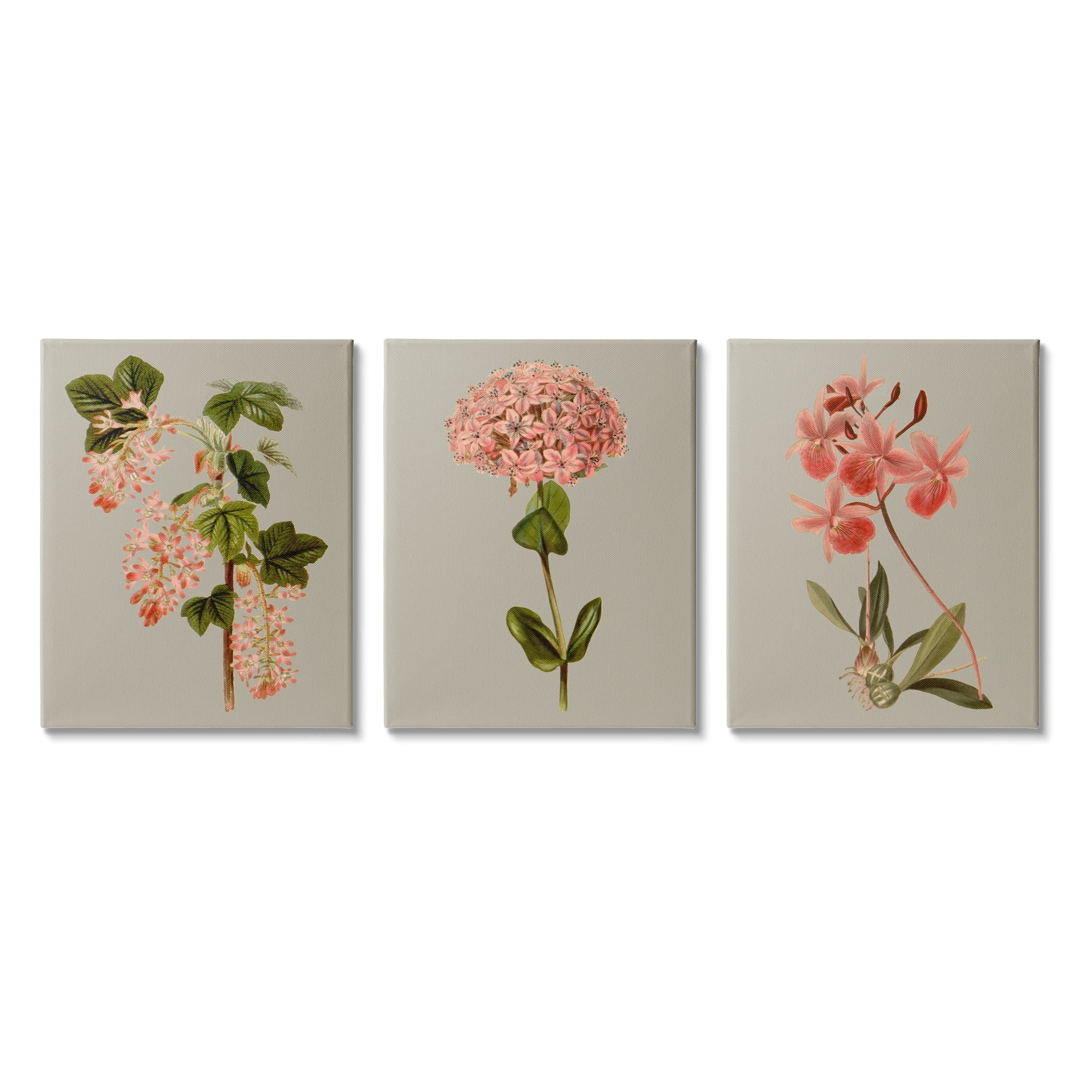 Stupell Industries Vintage Pink Floral Clusters Spring Lilac Illustrations, 24 x 30,Design by Vision Studio