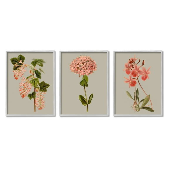 Stupell Industries Vintage Pink Floral Clusters Spring Lilac Illustrations Graphic Art Gray Framed Art Print Wall Art Set of 3, 24x30, by Vision Studio
