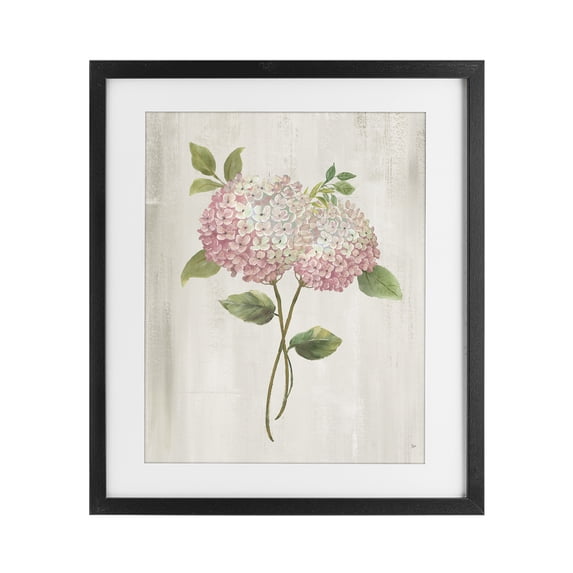 Stupell Industries Shabby Chic Vintage Pink Hydrangea Black Framed Print Under Glass, 13 x 16, by Nan