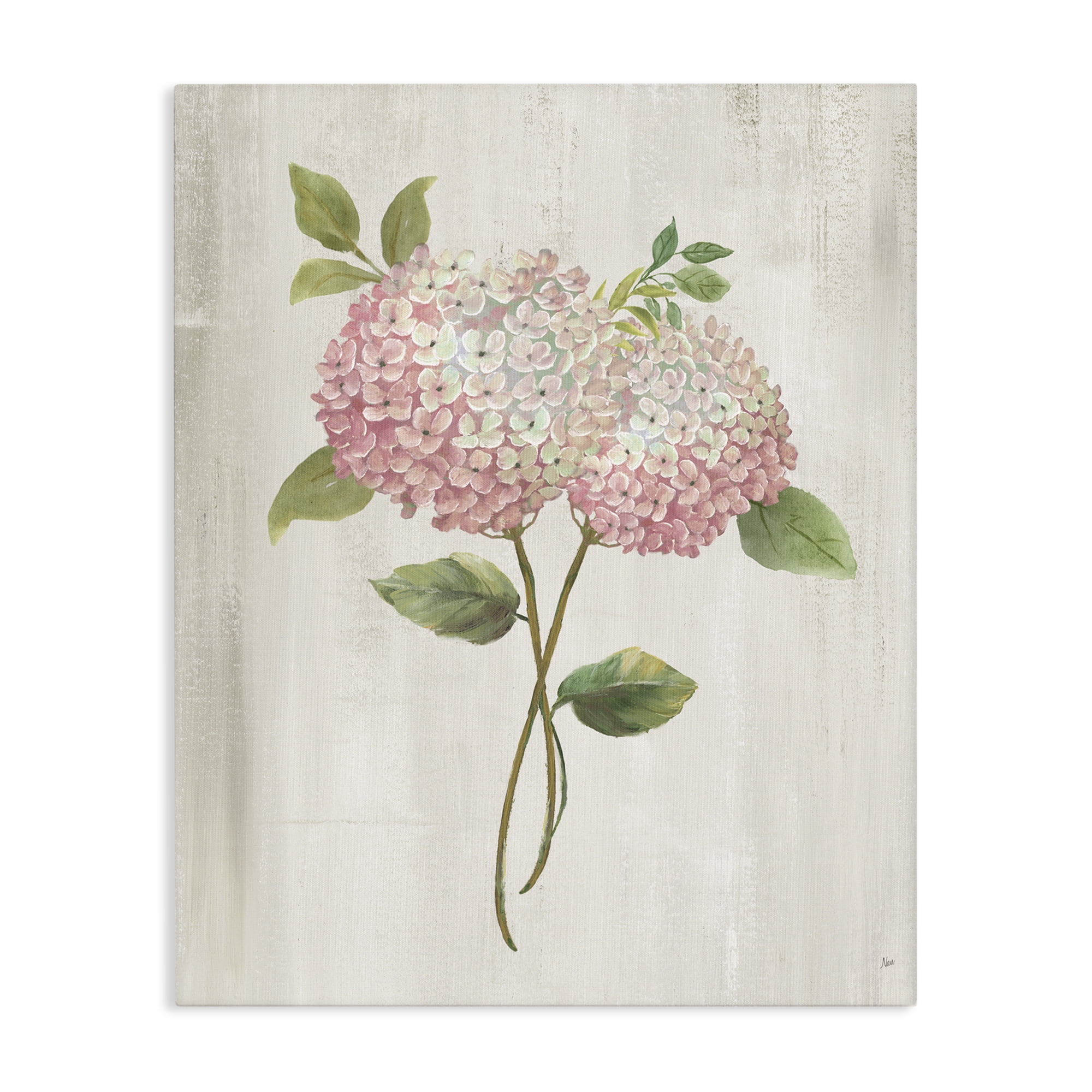 Stupell Industries Vintage Pink Hydrangea Canvas Wall Art, design by Nan