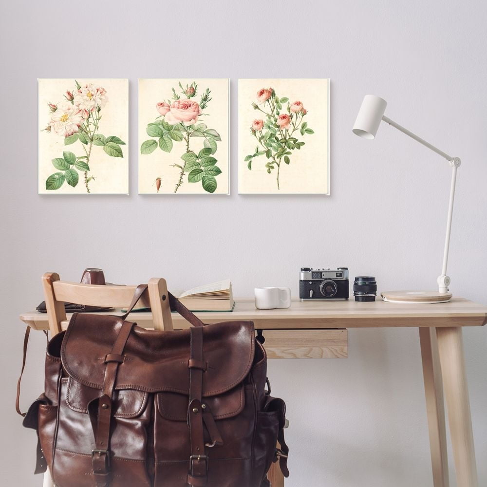 Stupell Industries Vintage Pink Rose Illustrations with Floral Stem Detail Designed by Ziwei Li