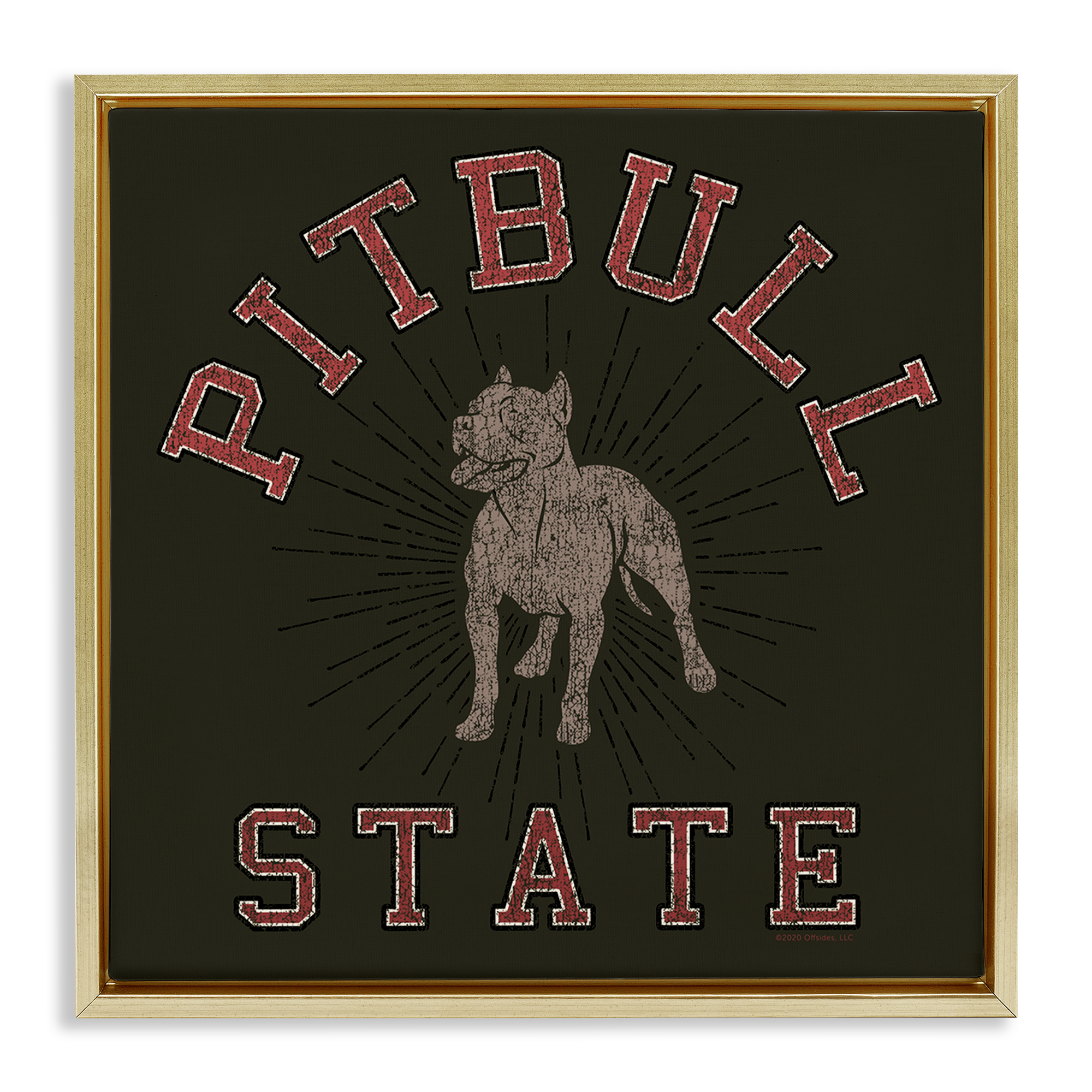 Stupell Industries Vintage Pitbull State Novelty & Humor Painting Gold Floater Framed Canvas Art Print Wall Art, 18 x 18