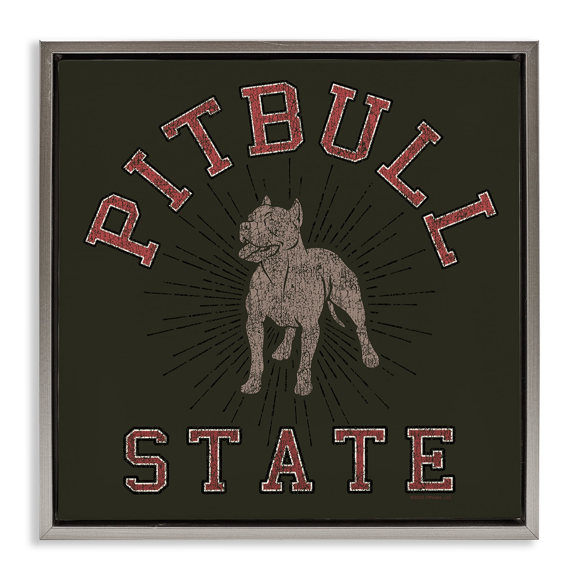 Stupell Industries Vintage Pitbull State Novelty & Humor Painting Gray Floater Framed Canvas Art Print Wall Art, 25 x 25