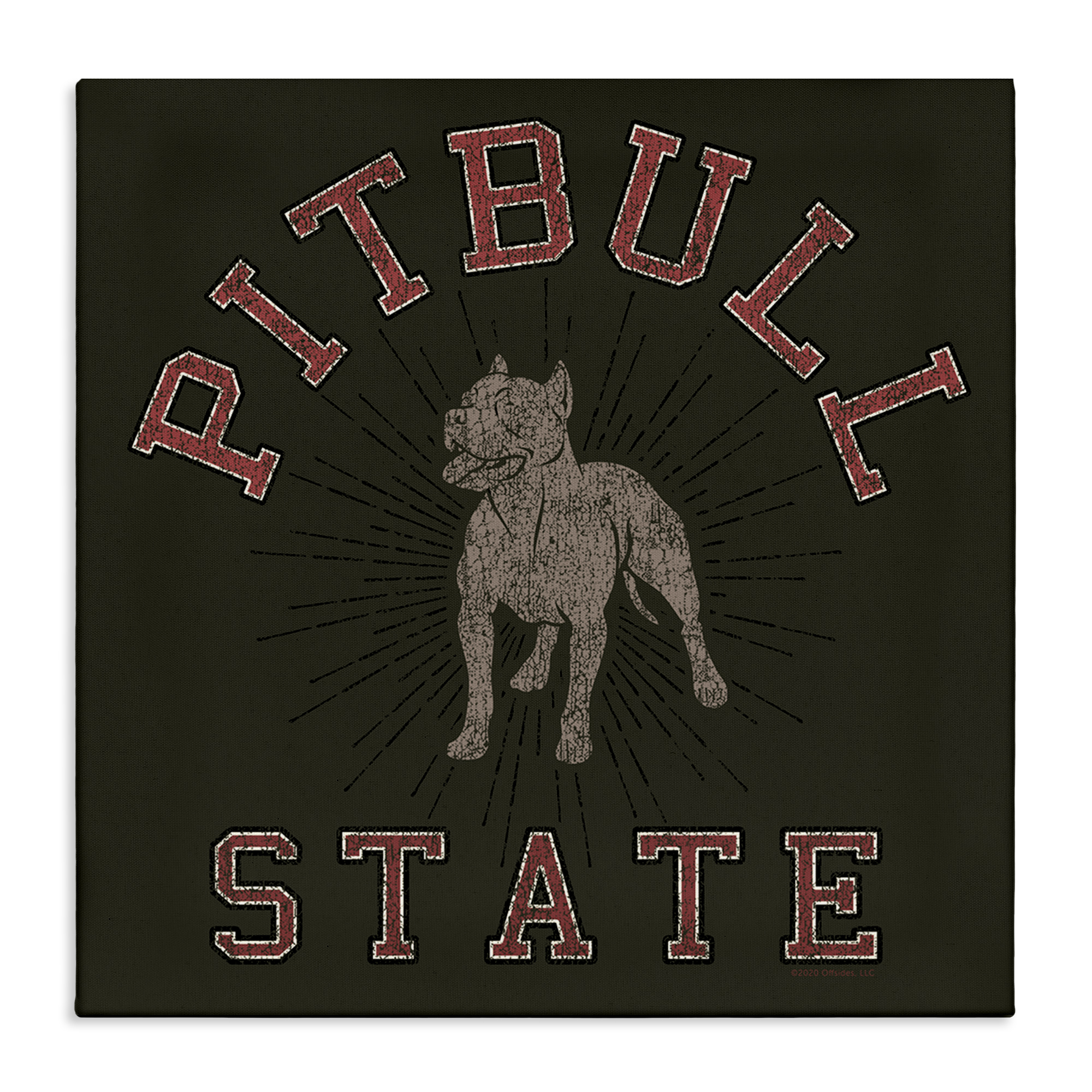 Stupell Industries Vintage Pitbull State Novelty & Humor Painting Wrapped Canvas Art Print Wall Art, 36 x 36