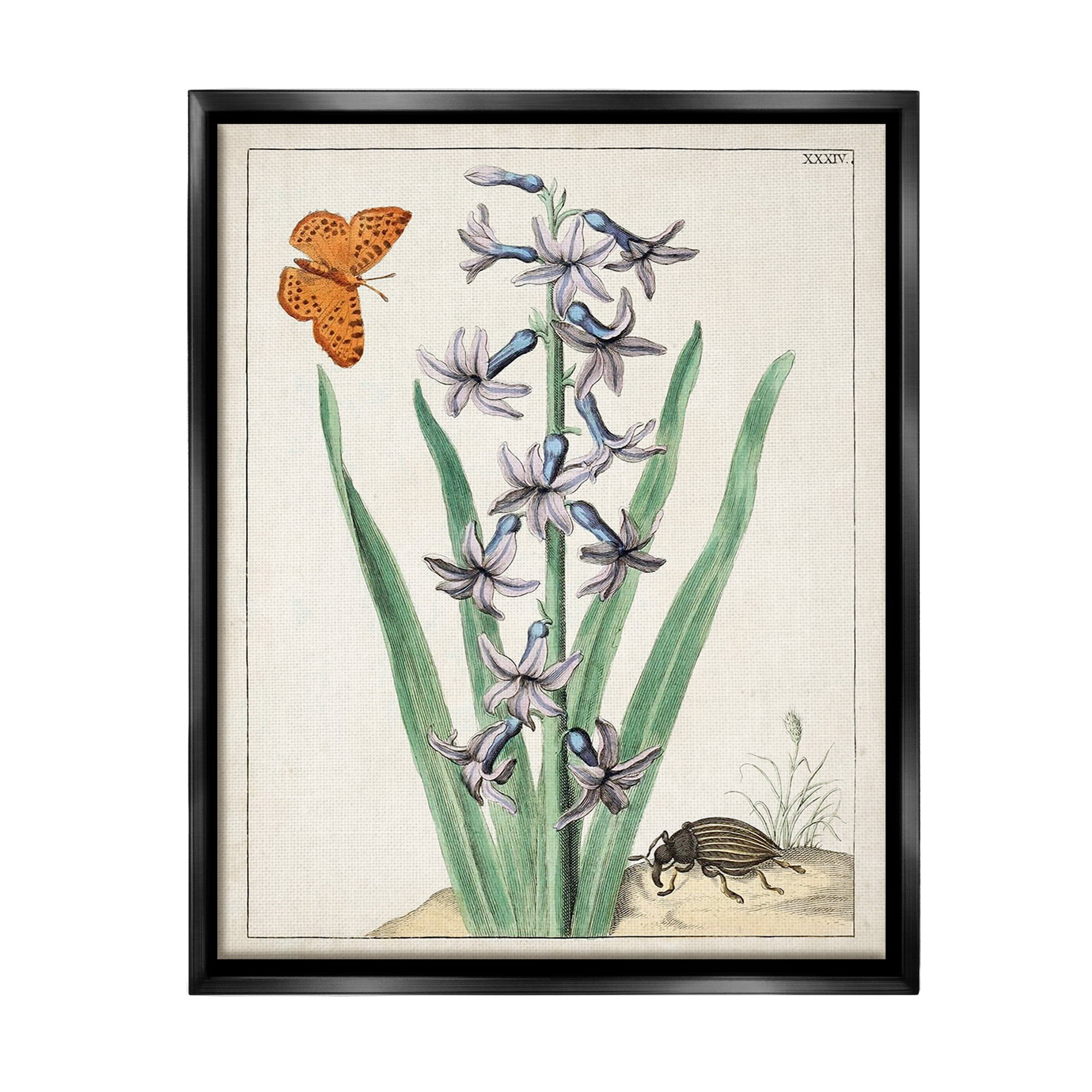 Stupell Industries Vintage Plant & Beetle Botanical & Floral Painting Black Floater Framed Canvas Art Print Wall Art, 25 x 31