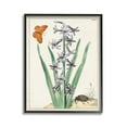 thumbnail image 1 of Stupell Industries Vintage Plant & Beetle Botanical & Floral Painting Black Framed Art Print Wall Art, 11 x 14, 1 of 9