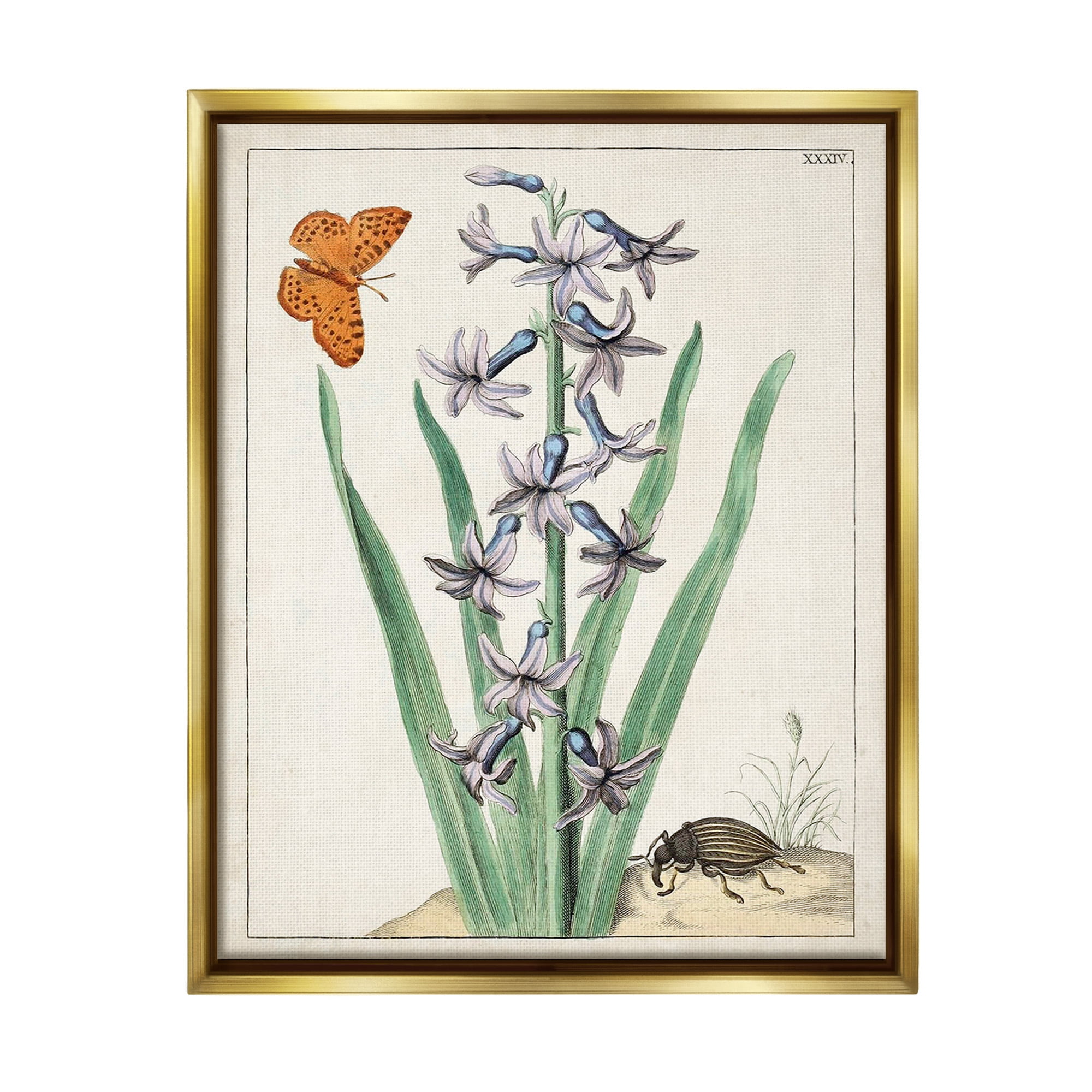 Stupell Industries Vintage Plant & Beetle Botanical & Floral Painting Gold Floater Framed Canvas Art Print Wall Art, 25 x 31