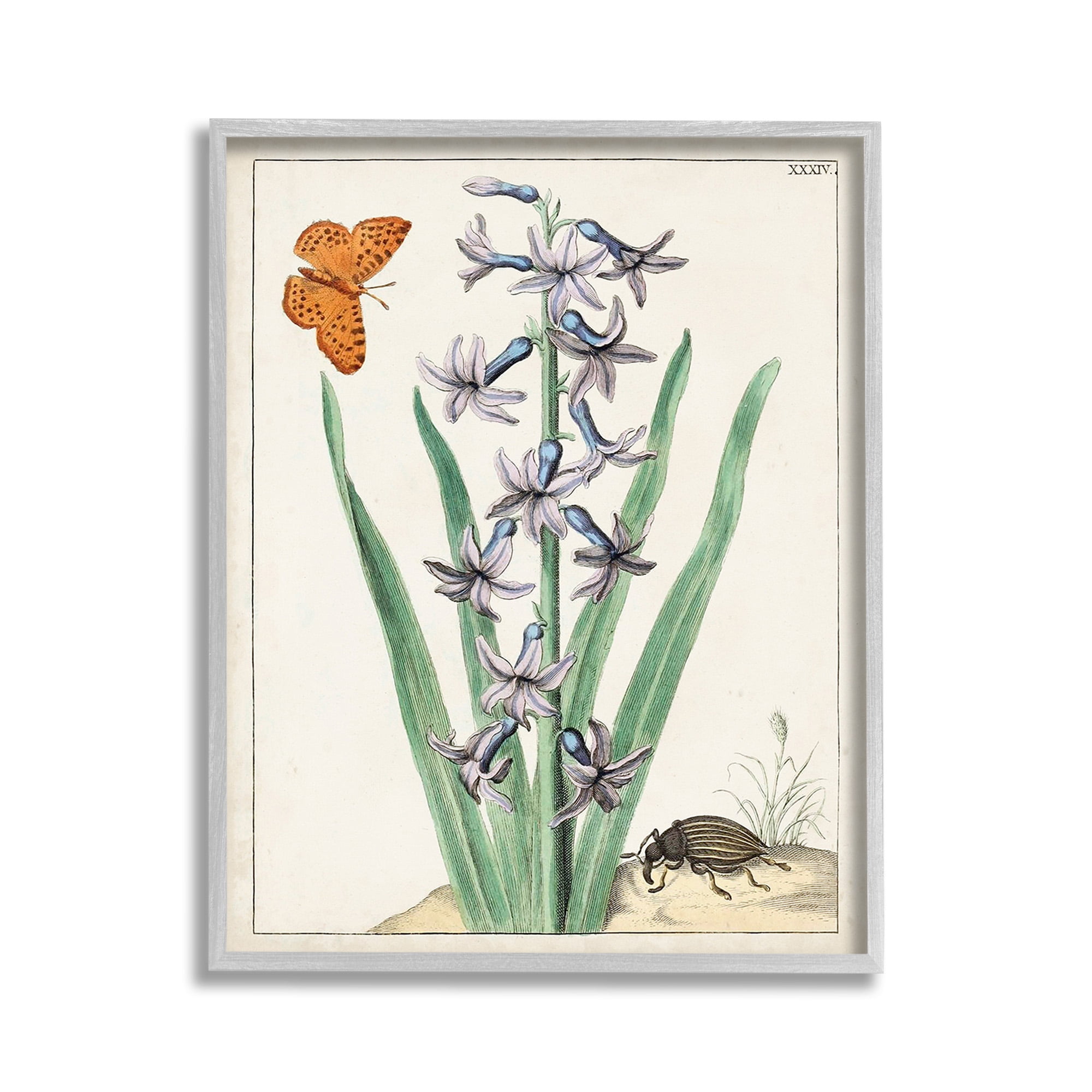 Stupell Industries Vintage Plant & Beetle Botanical & Floral Painting Gray Framed Art Print Wall Art, 11 x 14