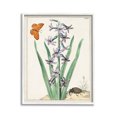 thumbnail image 1 of Stupell Industries Vintage Plant & Beetle Botanical & Floral Painting White Framed Art Print Wall Art, 11 x 14, 1 of 9