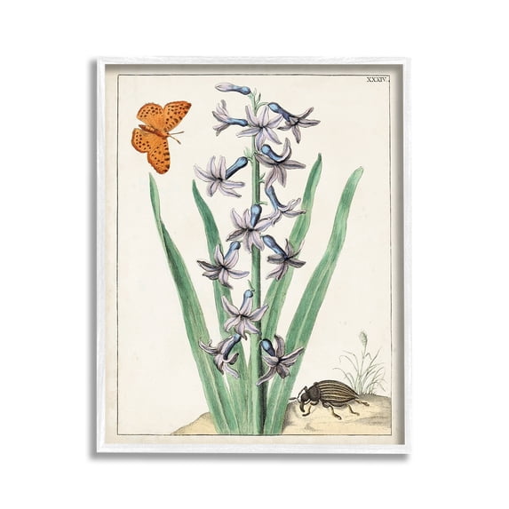 Stupell Industries Vintage Plant & Beetle Botanical & Floral Painting White Framed Art Print Wall Art, 11 x 14