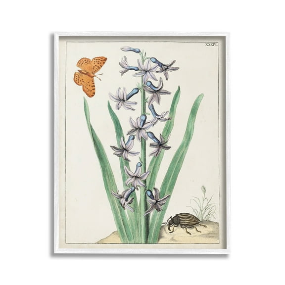 Stupell Industries Vintage Plant & Beetle Botanical & Floral Painting White Framed Art Print Wall Art, 24 x 30