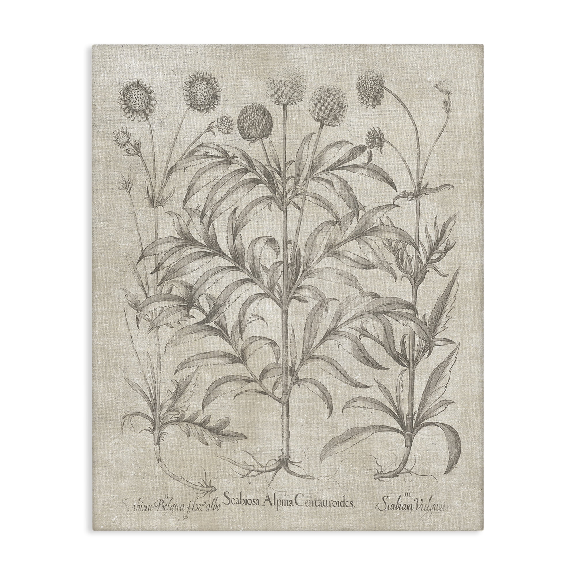 Vintage Botanical Floral Canvas Wall Art in Beige and Gray