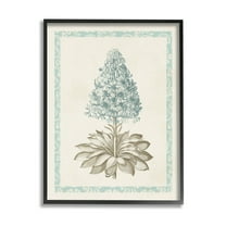 Stupell Industries Vintage Plant Nature Study Graphic Art Black Framed Art Print Wall Art, Design by Vision Studio