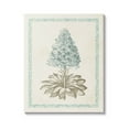 thumbnail image 1 of Stupell Industries Vintage Plant Nature Study Graphic Art Gallery Wrapped Canvas Print Wall Art, Design by Vision Studio, 1 of 7