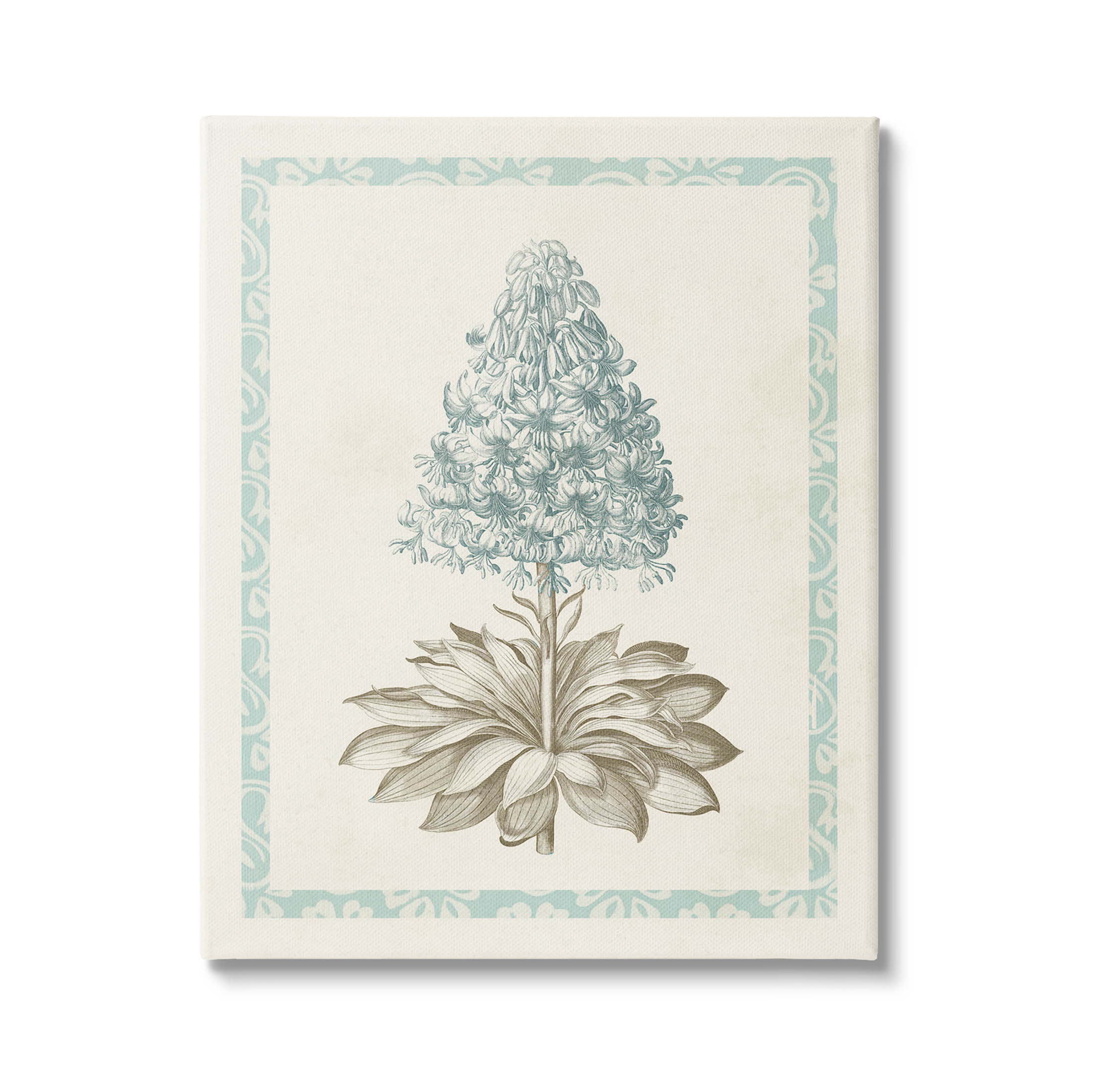 Stupell Industries Vintage Plant Nature Study Graphic Art Gallery Wrapped Canvas Print Wall Art, Design by Vision Studio