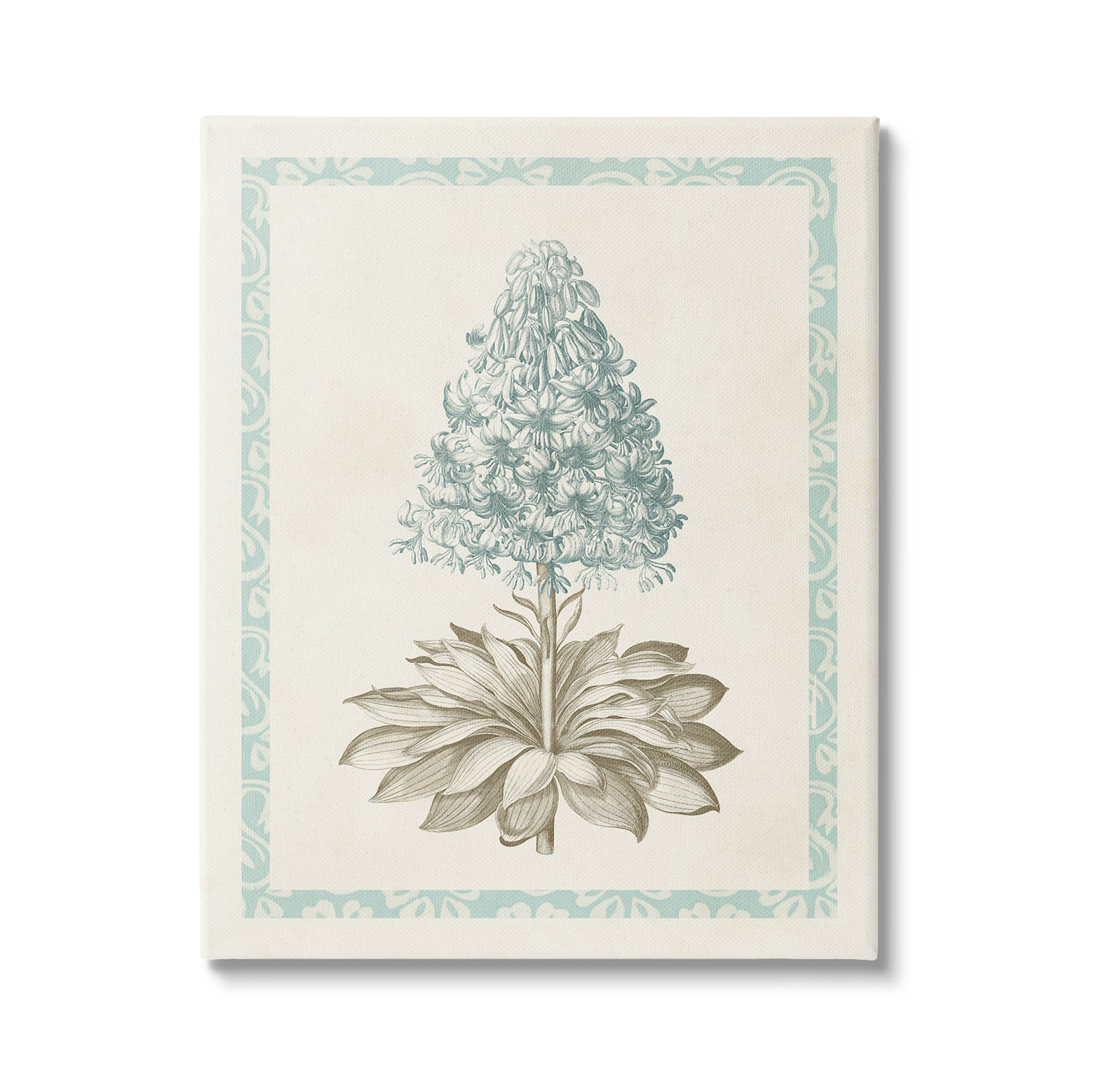 Stupell Industries Vintage Plant Nature Study Graphic Art Gallery Wrapped Canvas Print Wall Art, Design by Vision Studio