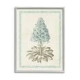 thumbnail image 1 of Stupell Industries Vintage Plant Nature Study Graphic Art Gray Framed Art Print Wall Art, Design by Vision Studio, 1 of 7