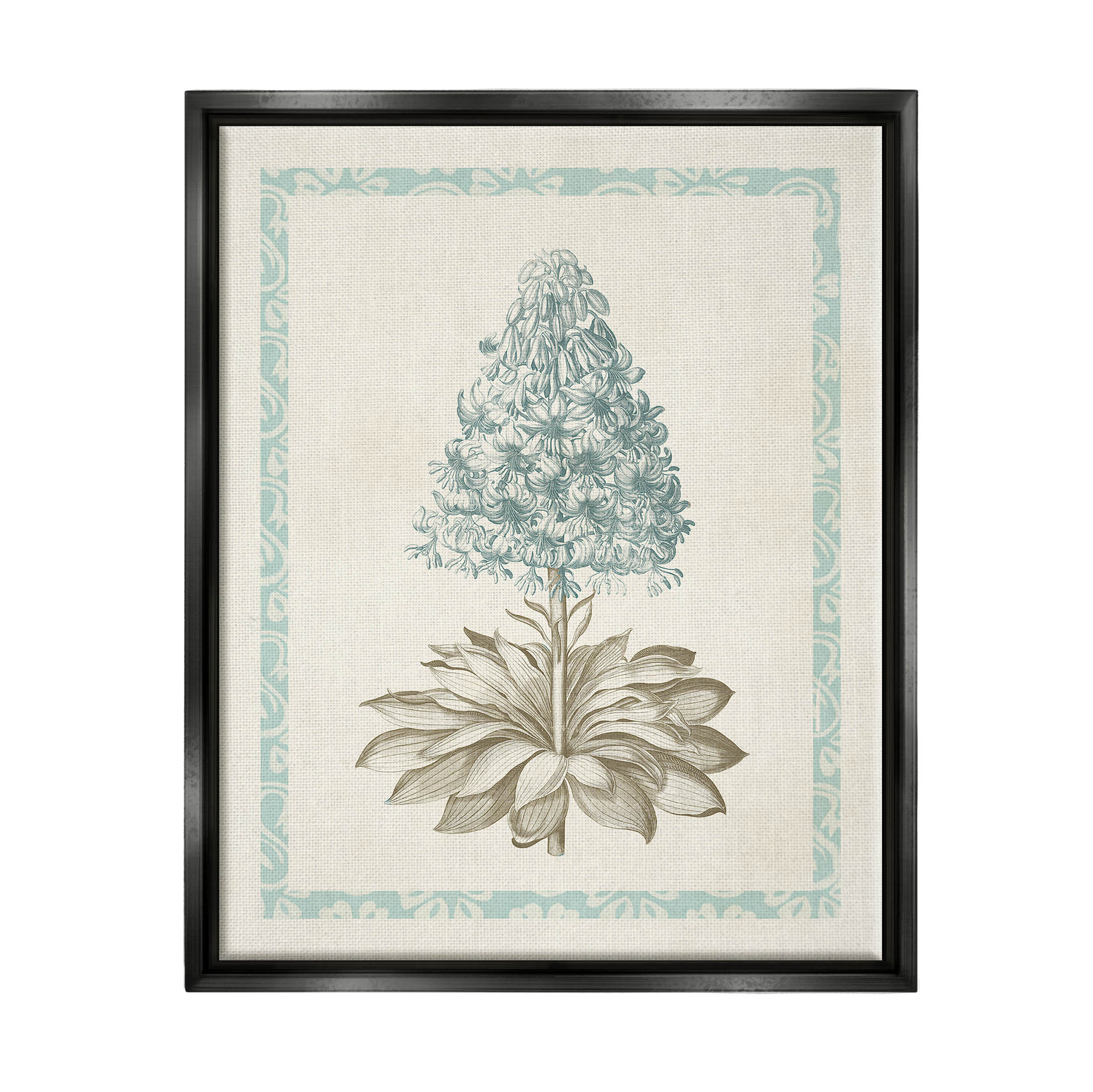 Stupell Industries Vintage Plant Nature Study Graphic Art Jet Black Floating Framed Canvas Print Wall Art, Design by Vision Studio